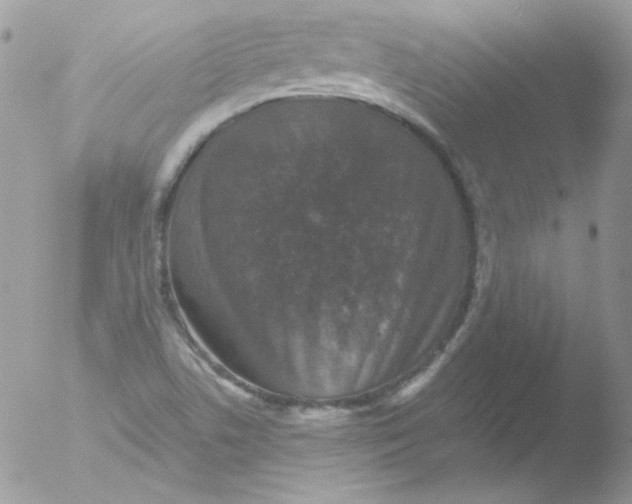 X0000051881506200507151859