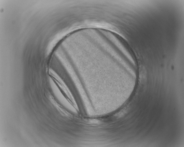 X0000051881507200507151859