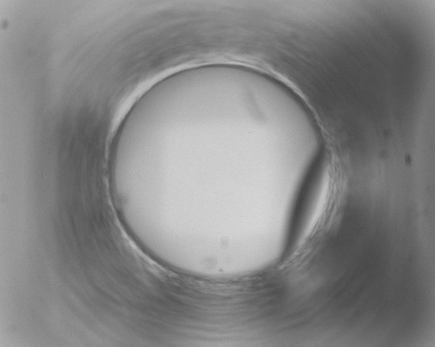 X0000051881508200507151859