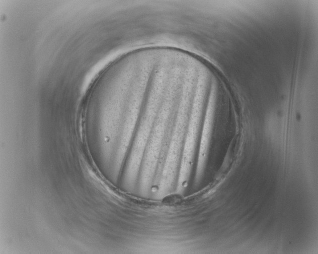 X0000051881510200507151859