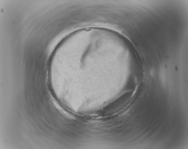 X0000051881511200507151859