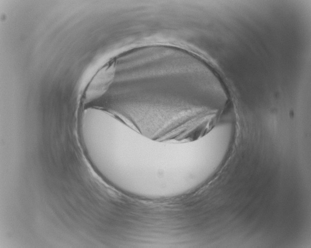 X0000051881512200507151859