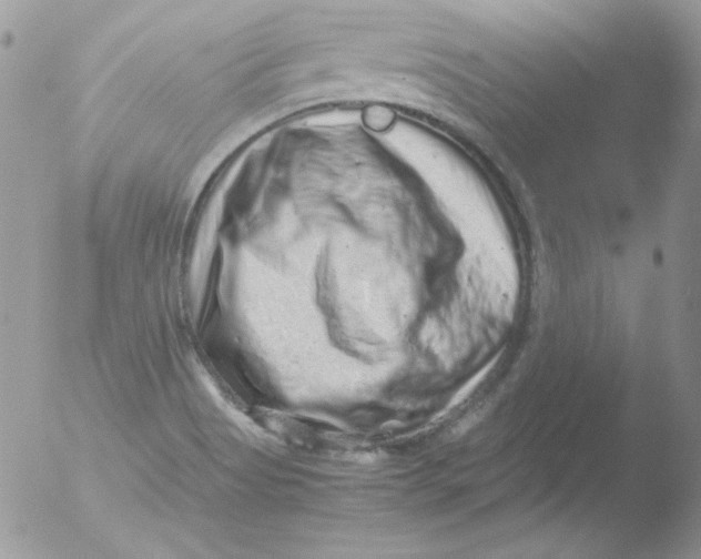 X0000051881513200507151859