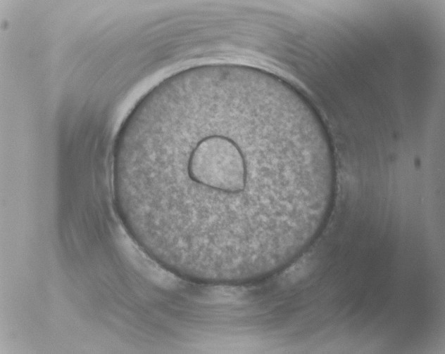 X0000051881514200507151859