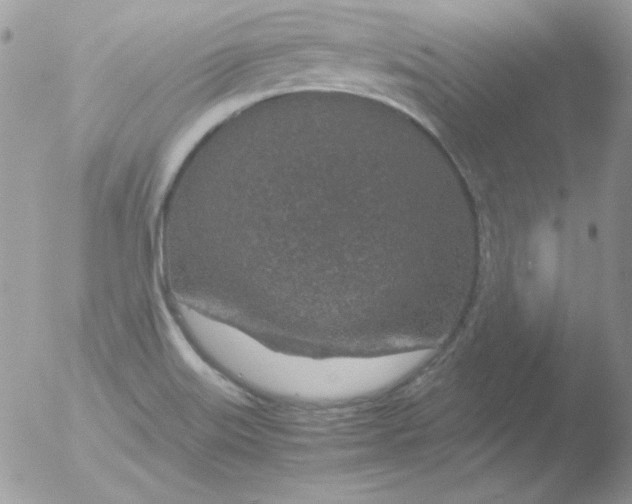 X0000051881515200507151859