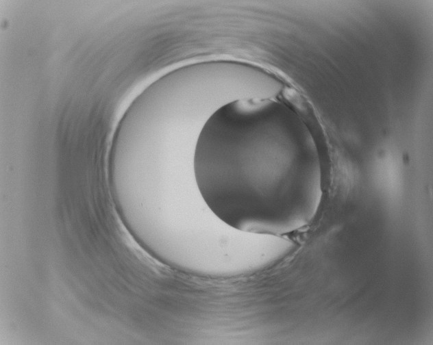 X0000051881516200507151859