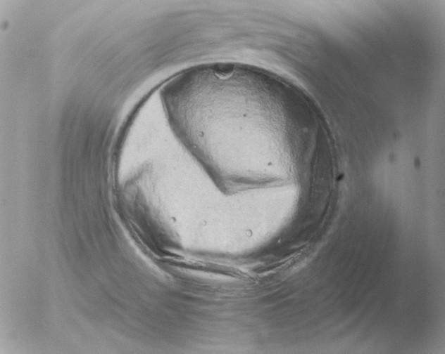 X0000051881517200507151859