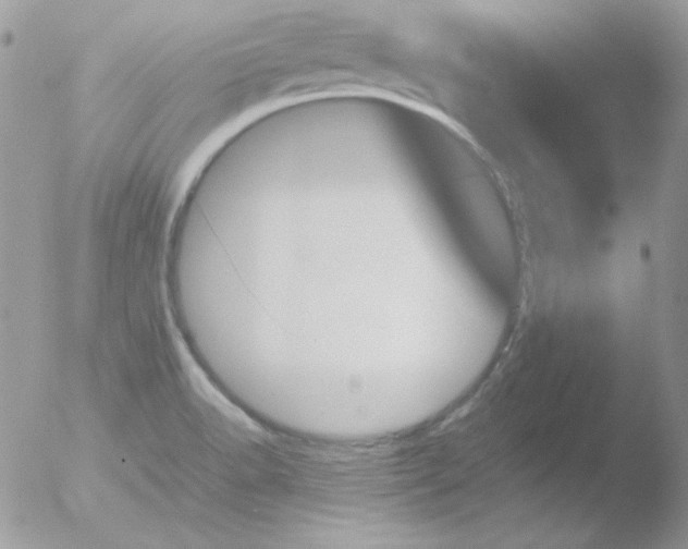 X0000051881518200507151859