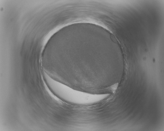 X0000051881519200507151859