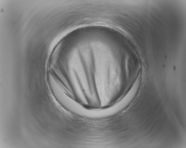 X0000051881520200507151859