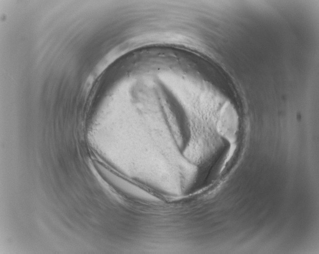 X0000051881521200507151859