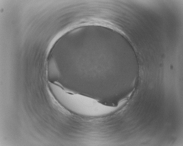 X0000051881522200507151859