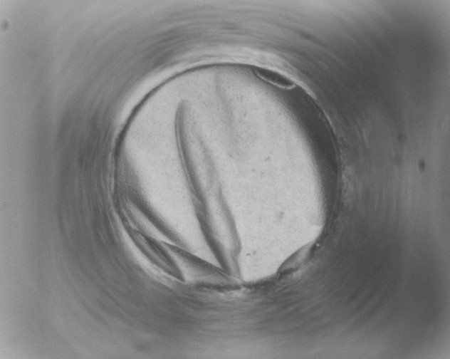 X0000051881523200507151859