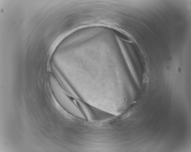 X0000051881524200507151859