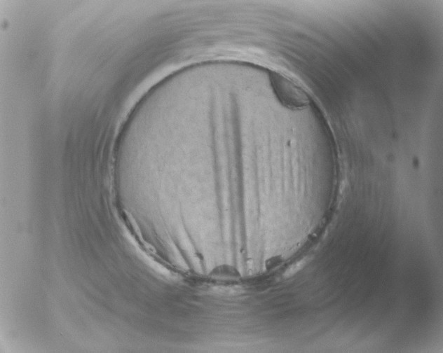 X0000051881525200507151859