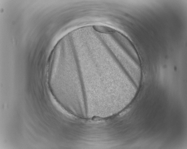 X0000051881526200507151859