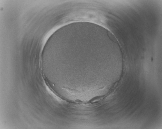 X0000051881527200507151859