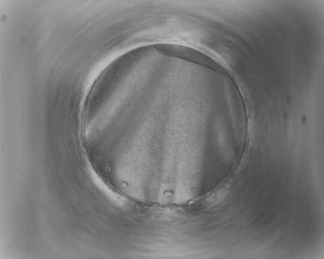 X0000051881528200507151859