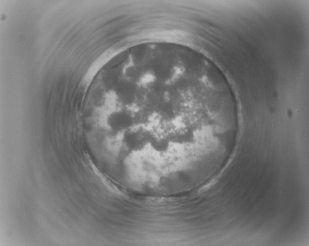 X0000051881529200507151859