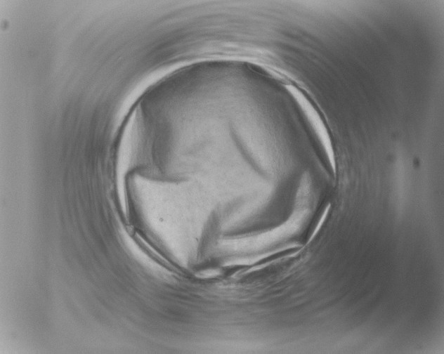 X0000051881531200507151859