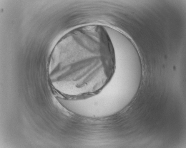 X0000051881532200507151859