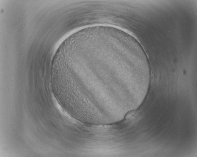 X0000051881534200507151859