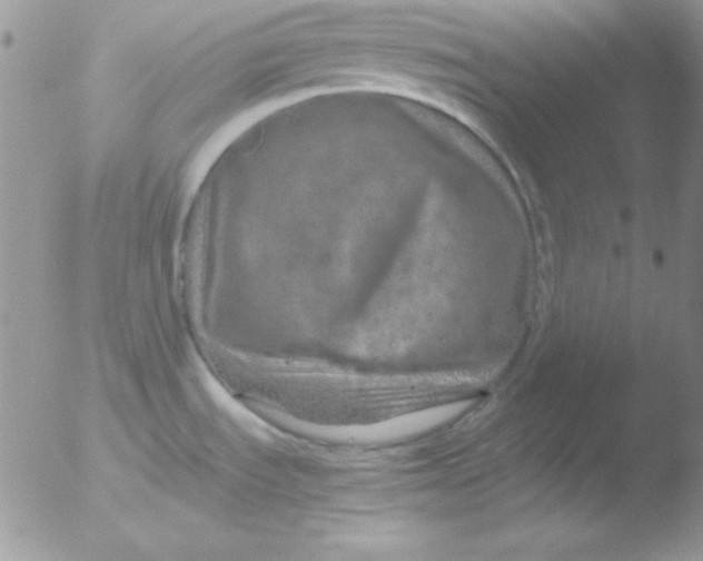 X0000051881535200507151859