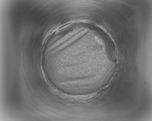 X0000051880001200507222002