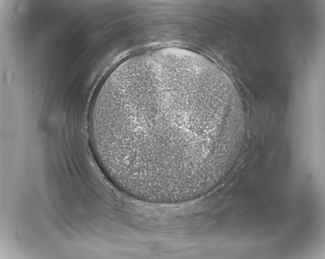 X0000051880002200507222002