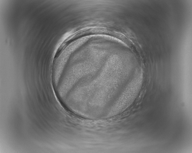 X0000051880003200507222002