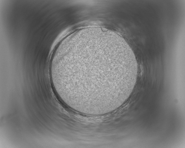 X0000051880004200507222002