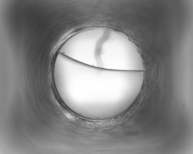 X0000051880005200507222002