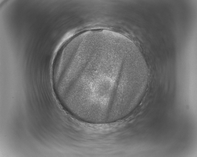 X0000051880006200507222002