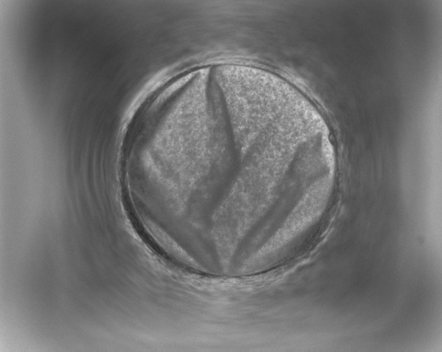 X0000051880007200507222002