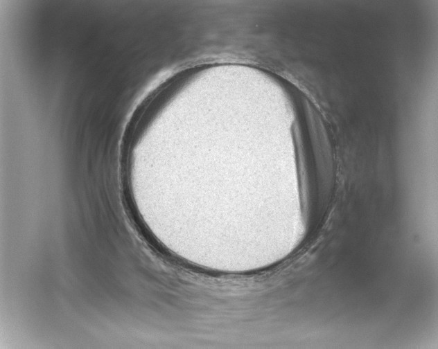 X0000051880008200507222001