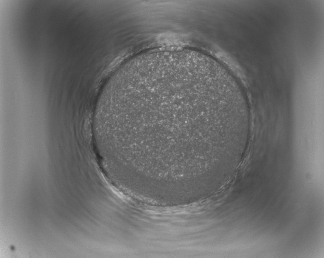 X0000051880009200507222001