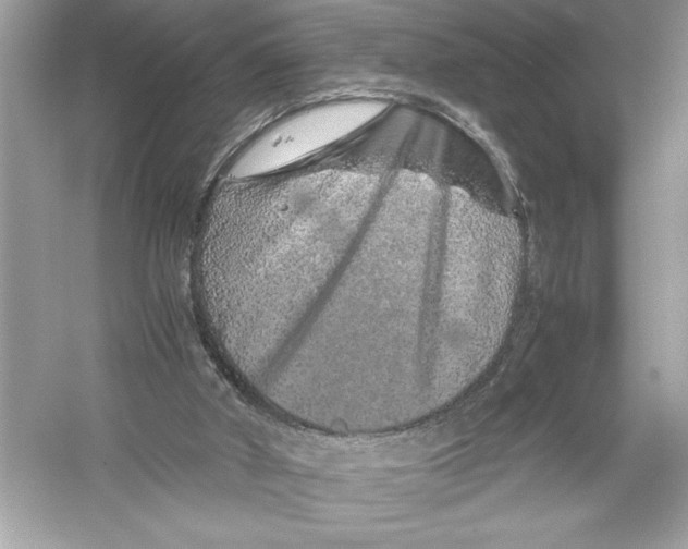 X0000051880010200507222001