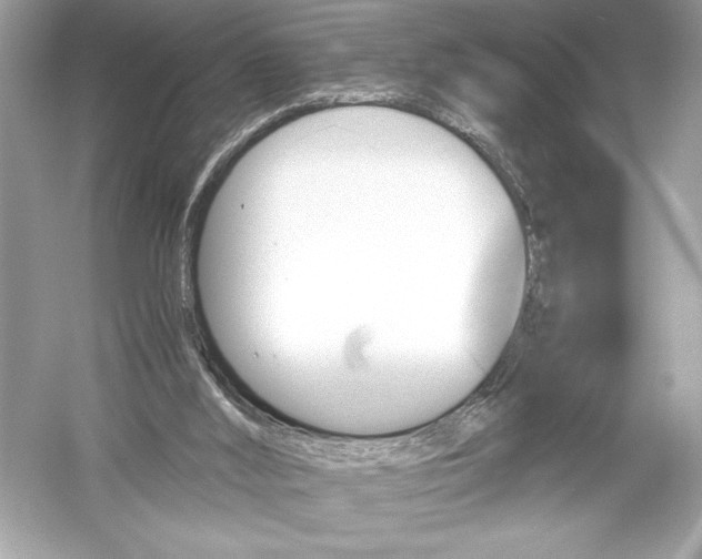 X0000051880012200507222001