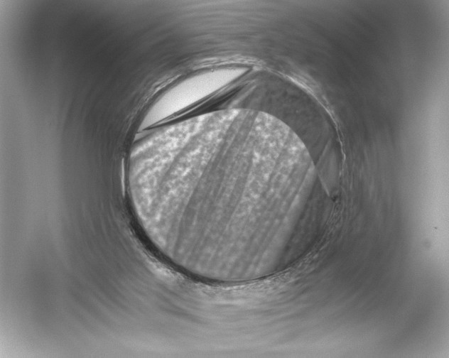 X0000051880013200507222001