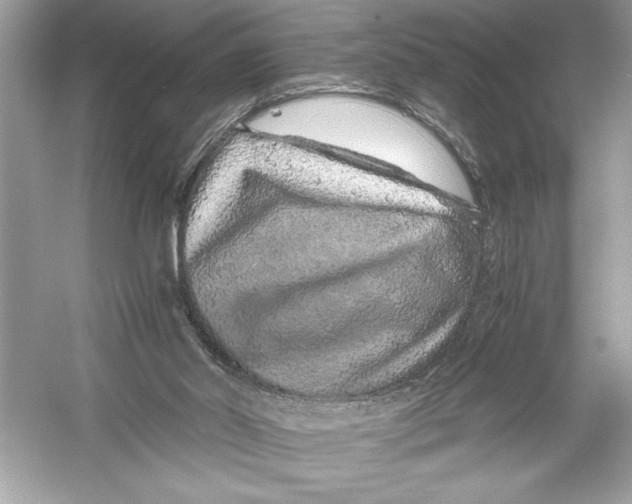 X0000051880014200507222001