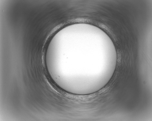 X0000051880016200507222001