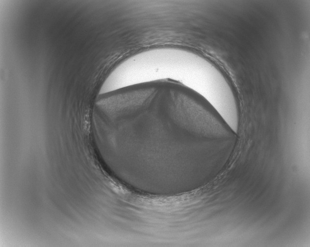 X0000051880017200507222001