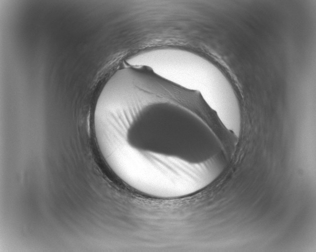 X0000051880019200507222001