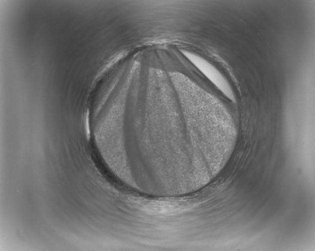 X0000051880020200507222001