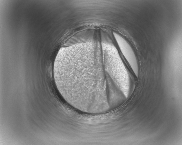 X0000051880021200507222001