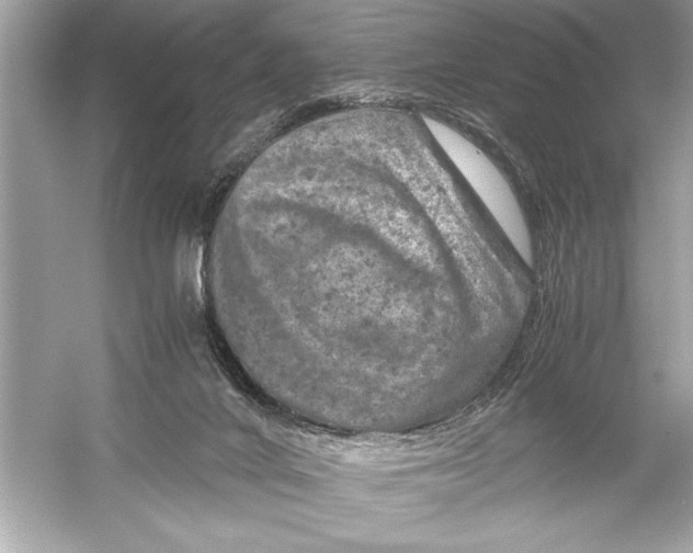 X0000051880024200507222001