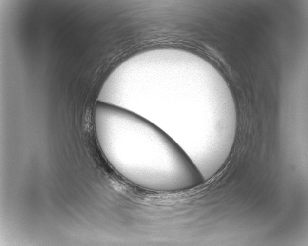 X0000051880025200507222001