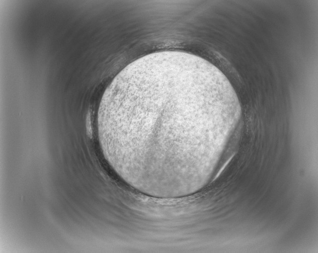 X0000051880026200507222001