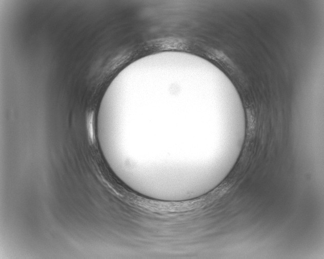 X0000051880028200507222001