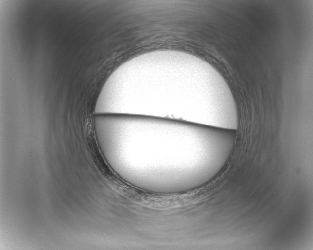 X0000051880029200507222001